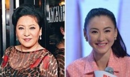 最新张柏芝八卦爆料新闻,揭秘她背后的惊人真相